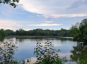 singapore/sungei-buloh-wetland-reserve/landmark/sungei-buloh-wetland-reserve-wetland-centre