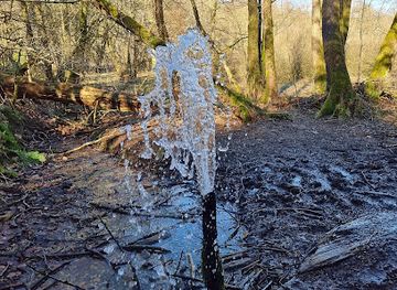 denmark/rold-skov/landmark/springkilden