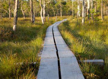 estonia/harju-county/landmark/estonian-trip