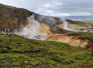 iceland/vatnajokull-national-park/landmark/reykjanesfolkvangur