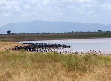 kenya/tsavo-region/landmark/aruba-dam