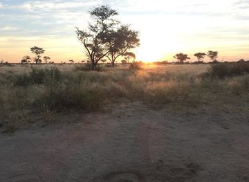botswana/kgalagadi-transfrontier-park/landmark/khutse-game-reserve