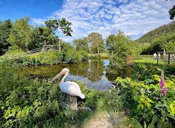 isle-of-man/onchan/landmark/curraghs-wildlife-park