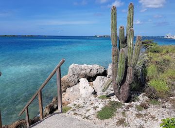 aruba/pos-chiquito/landmark/marina-pirata-restaurant