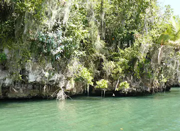 Cueva de La Linea