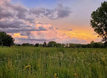 illinois/schaumburg/landmark/vera-meineke-nature-center-at-spring-valley
