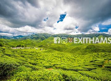 malaysia/cameron-highlands/landmark/cameron-valley-tea-house-2