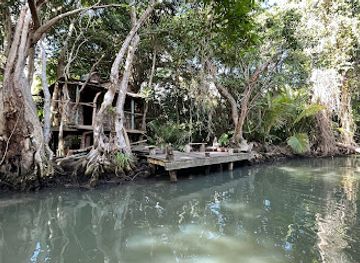 dominica/emerald-pool/landmark/indian-river-tours