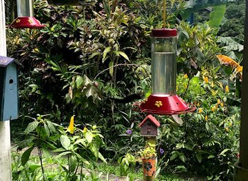 trinidad-and-tobago/scarborough/landmark/adventure-farm-and-nature-reserve-adventure