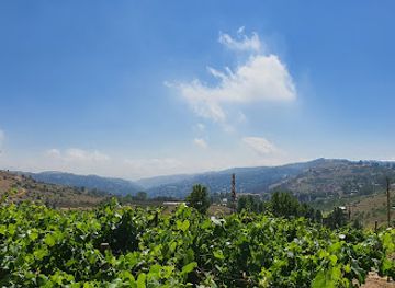 lebanon/bekaa-valley/landmark/massaya-lebanese-winery-faqra-lebanon