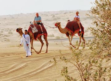 united-arab-emirates/dubai-desert-conservation-reserve/landmark/desert-safari-tours-dubai