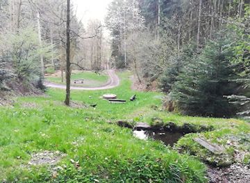 germany/black-forest/landmark/goldbrunnen