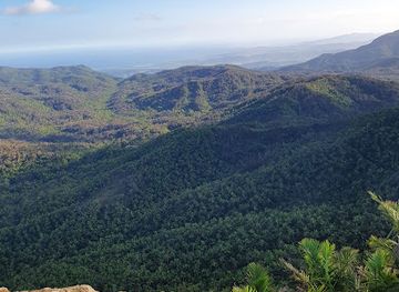 puerto-rico/caguas-region/landmark/el-yunque-national-forest