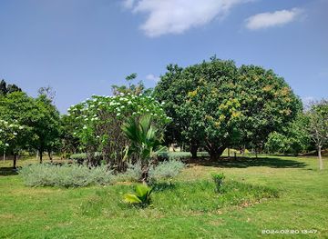 india/kanyakumari/landmark/pazha-thottam-poonga