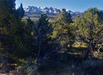 utah/dixie-national-forest/landmark/pine-valley-mountain-wilderness