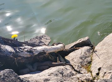 ohio/lake-erie-islands/landmark/jefferson-street-pier
