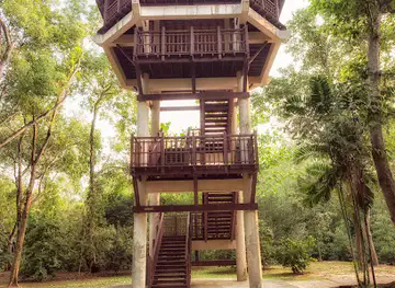 Pasir Ris Park Mangrove Boardwalk
