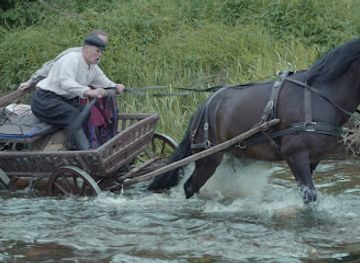 lithuania/aukstaitija/landmark/horse-museum