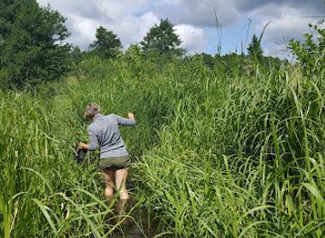 lithuania/samogitia/landmark/sietuvos-kulgrinda