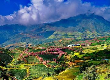 vietnam/sapa/landmark/sapa-dao-homestay-and-restaurant