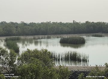 india/sundarbans/landmark/dobanki-watch-tower