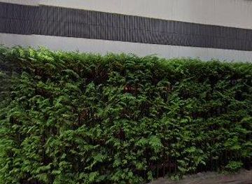 japan/musashi/landmark/narukoten-shrine