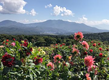 japan/shinano/landmark/kurohime-kogen-snow-park