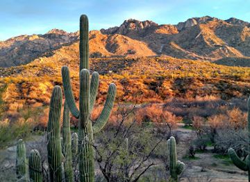 arizona/tucson-mountain-park/landmark/catalina-state-park