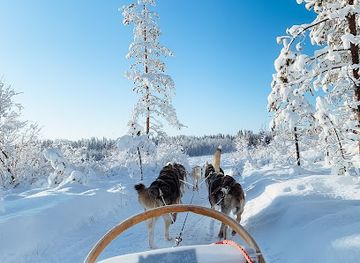 finland/ruka-kuusamo/landmark/era-susi-huskies