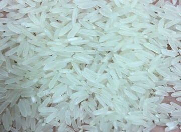 myanmar-burma/golden-rock/landmark/golden-hin-tar