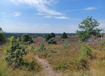 netherlands/sallandse-heuvelrug-national-park/landmark/uitzichtpunt-holterberg