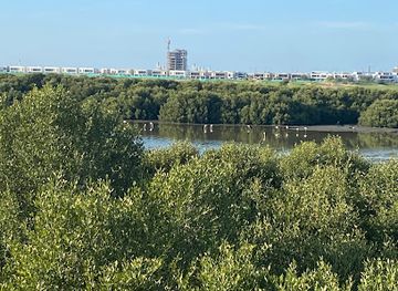 united-arab-emirates/arabian-gulf-coast/landmark/al-zorah-natural-reserve-ajman