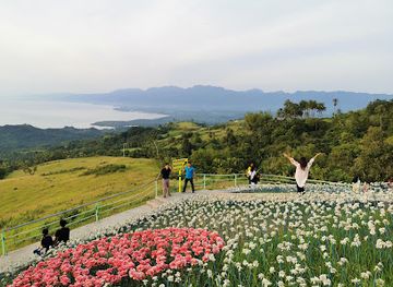 philippines/eastern-visayas/landmark/lintaon-peak