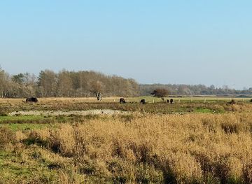 germany/north-frisia/landmark/nabu-nature-center-katinger-watt