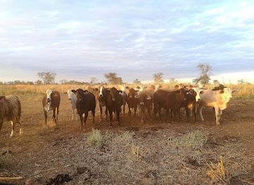 paraguay/gran-chaco/landmark/estancia-gran-chaco