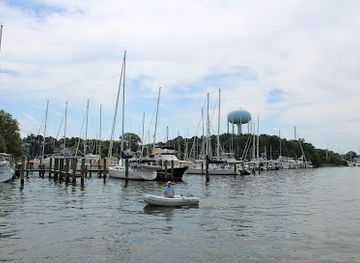maryland/annapolis-waterfront/landmark/schooner-woodwind-sailing-cruises
