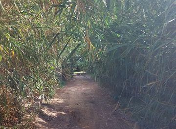 morocco/tafilalt/landmark/foret-m-daghra