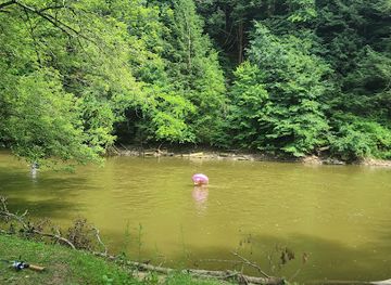 ohio/mohican-state-park/landmark/great-mohican-pow-wow