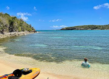 puerto-rico/vieques/landmark/jak-water-sports-bioluminescent-bay-tour-rental