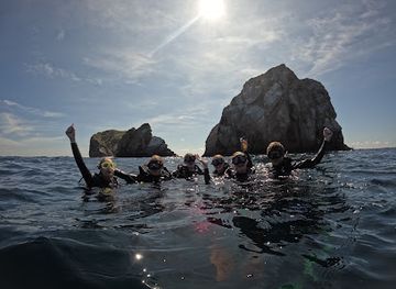 ecuador/galapagos-islands/landmark/eagleray-galapagos-diving