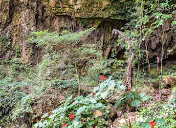 malaysia/mulu-national-park/landmark/lang-cave