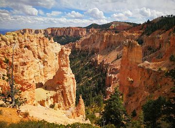 utah/bryce-canyon-city/landmark/black-birch-canyon