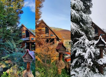 chile/tierra-del-fuego/landmark/siberianos-de-fuego