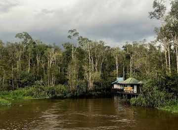 indonesia/tanjung-puting-national-park/landmark/tanjung-puting-trip-toris-marley