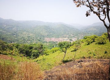 togo/mount-agou-area/landmark/foret-de-missahohoe