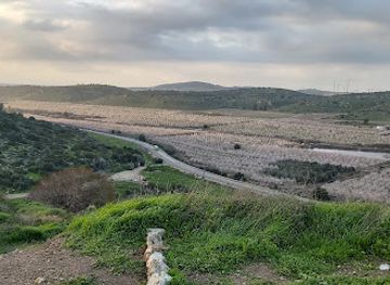 israel/jordan-valley/landmark/valley-of-elah-terebinths