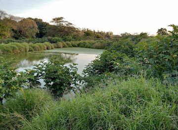 zambia/lower-zambezi-national-park/landmark/kalimba-reptile-park