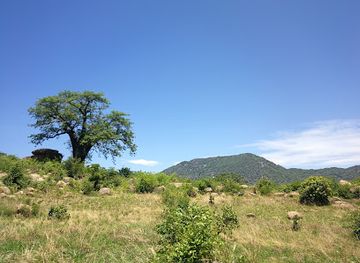 malawi/mchinji-highlands/landmark/lake-malawi-national-park