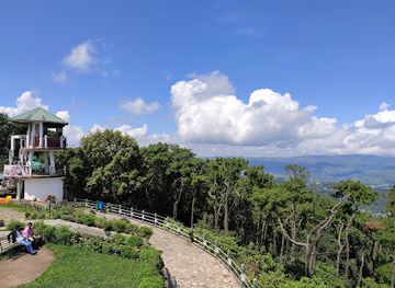 india/shillong/upper-shillong/landmark/upper-shillong-forest