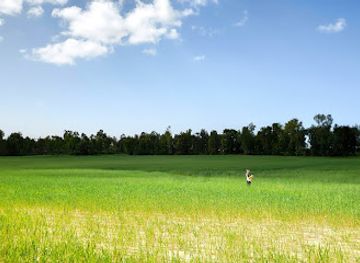 israel/southern-district/landmark/yad-mordehai-forest